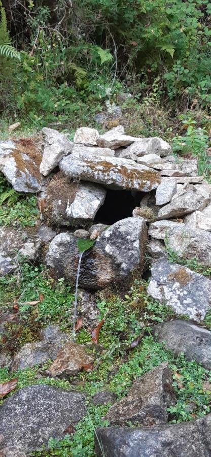 Casa Nanuccia Bed & Breakfast Bastelica Dış mekan fotoğraf